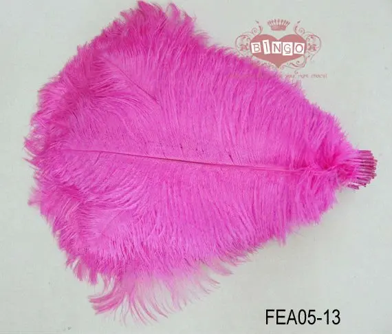 FEA05-13.jpg