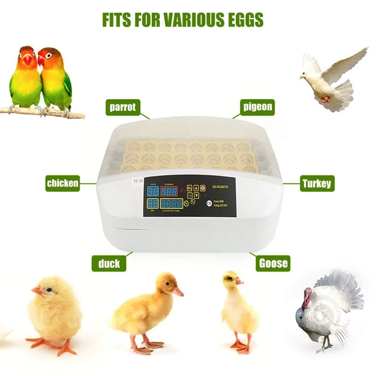 How to operate a 96 egg incubator