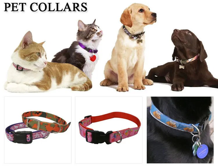 かわいい犬用品おしゃれでオリジナルブランド犬首輪 Buy 犬首輪 Product On Alibaba Com