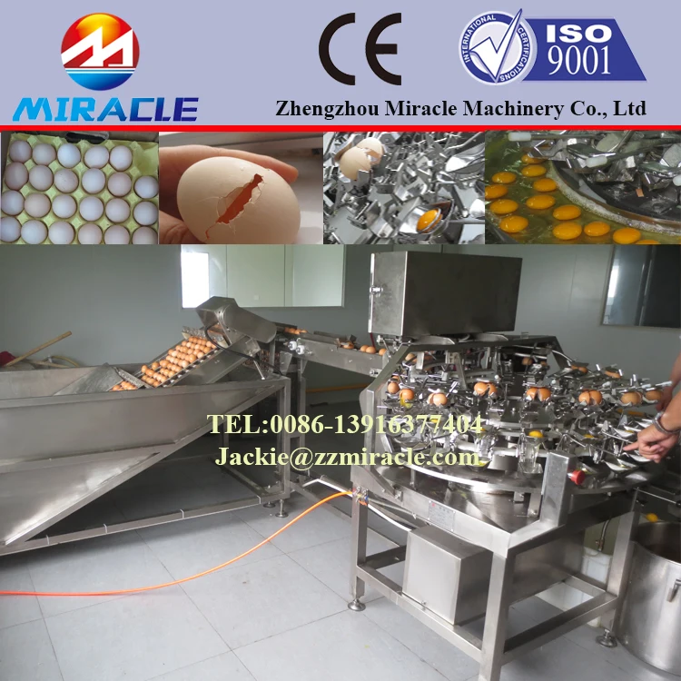 Safely Chicken Farm Egg White Separator Machine After Clean Buy Egg