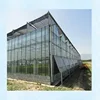 ISO Certification Venlo Multi span Glass greenhouse for agriculture farming