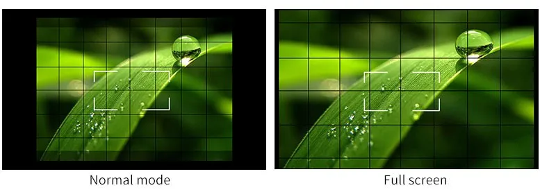 Camera 5D II Mode.jpg