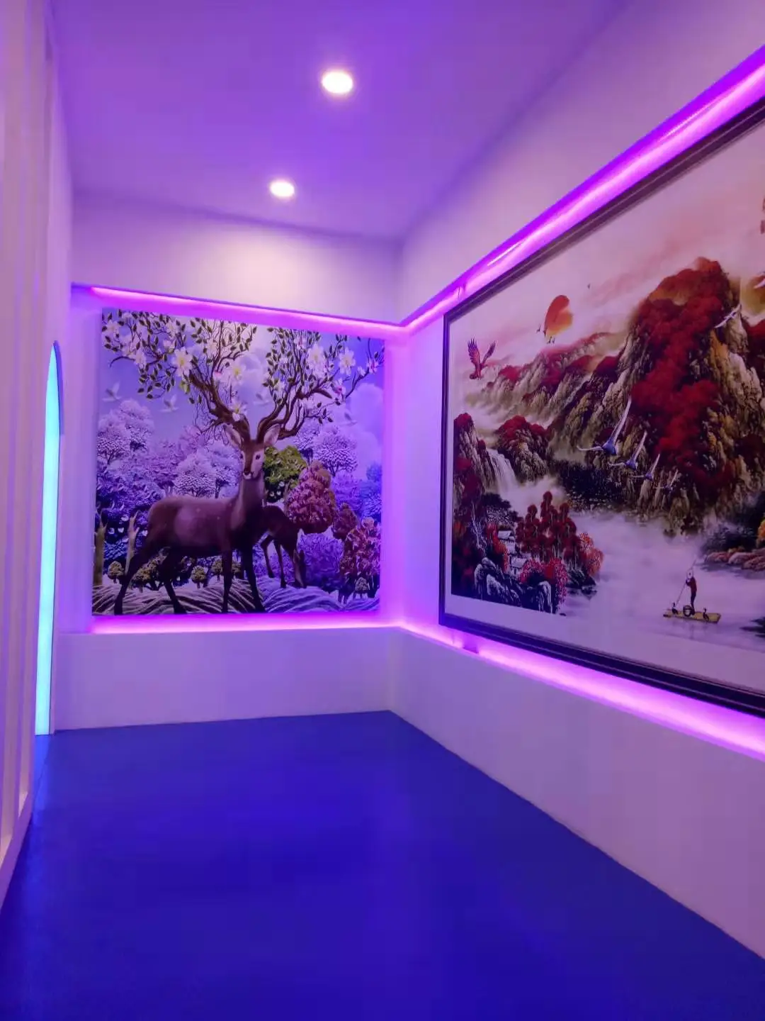 3d Effects Personalized Various Wall Printing Machine Wall Mural