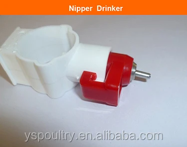 nipper drinker of cage.jpg