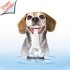 Patented Teeth Cleaning Kit Health Care Product for Pet Stores