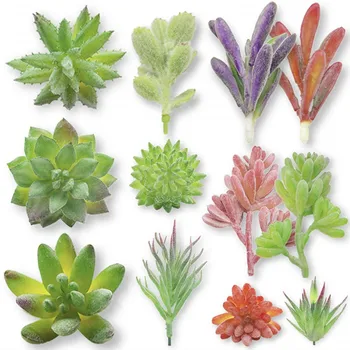 Fabrica Directamente Artificial Plantas Suculentas 12pcs Surtido Difusa De Suculentas Flores Unpotted Cactus Buy Plantas Artificiales Suculentas De Imitacion Plantas De Imitacion Product On Alibaba Com