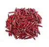 /product-detail/new-crops-best-price-chili-pepper-from-china-as-raw-spice-very-hot-spicy-60759710517.html