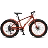 Customized high quality fat bike popular cycles