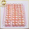 aaa quality zhuji pearl supplier 8.0mm freshwater natural cultivated buttons pearl vintage