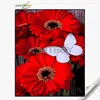 40*50 abstract rose flower painting designs for decoration home