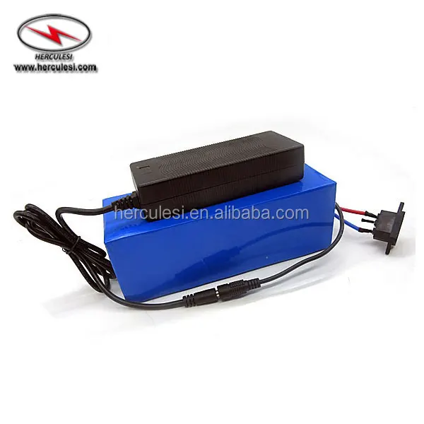 24V 8Ah Lithium Battery With Charger - Rechargeable LiFePO4 Battery Pack For Power Equipment