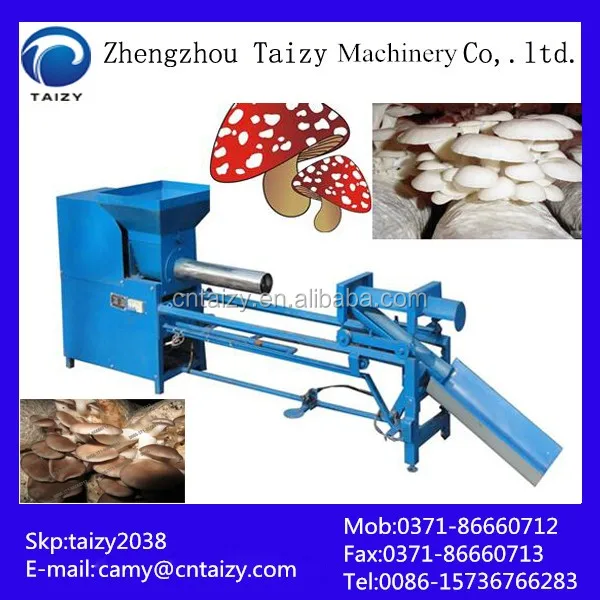 Mushroom Canning Machine Growing Machine For Pleurotus Eryngii Edible