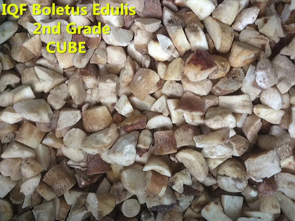 IQF BE 2nd CUBE .jpg