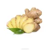FRESH GINGER WITH EXPORT STANDARD