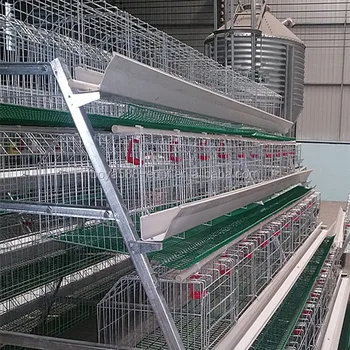 Automated trading system in sri lanka