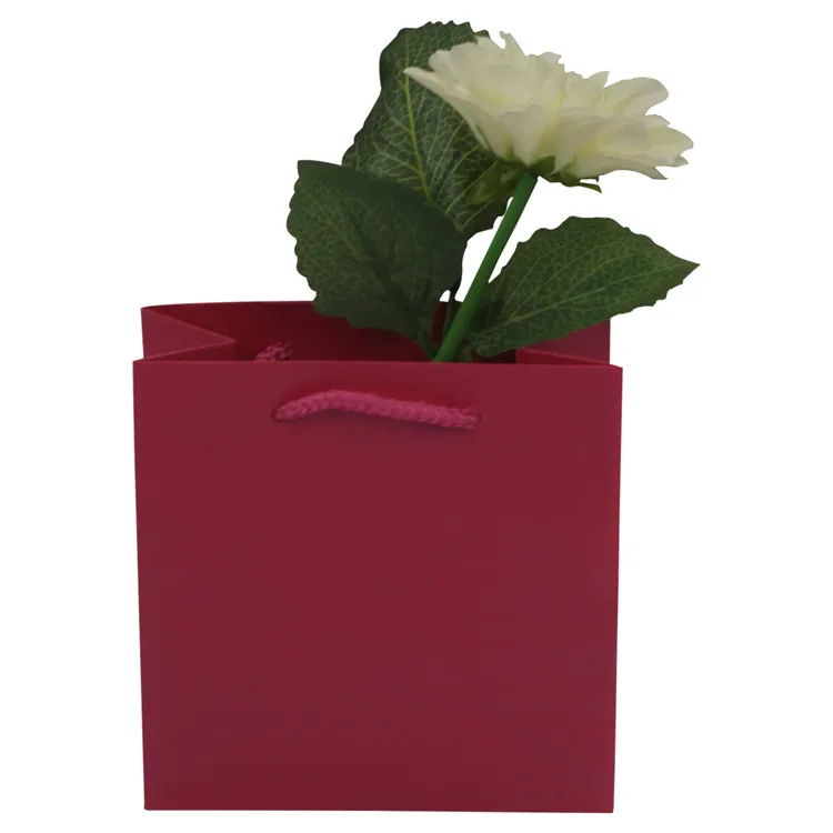 Jialan gift bags needed for packing gifts-6