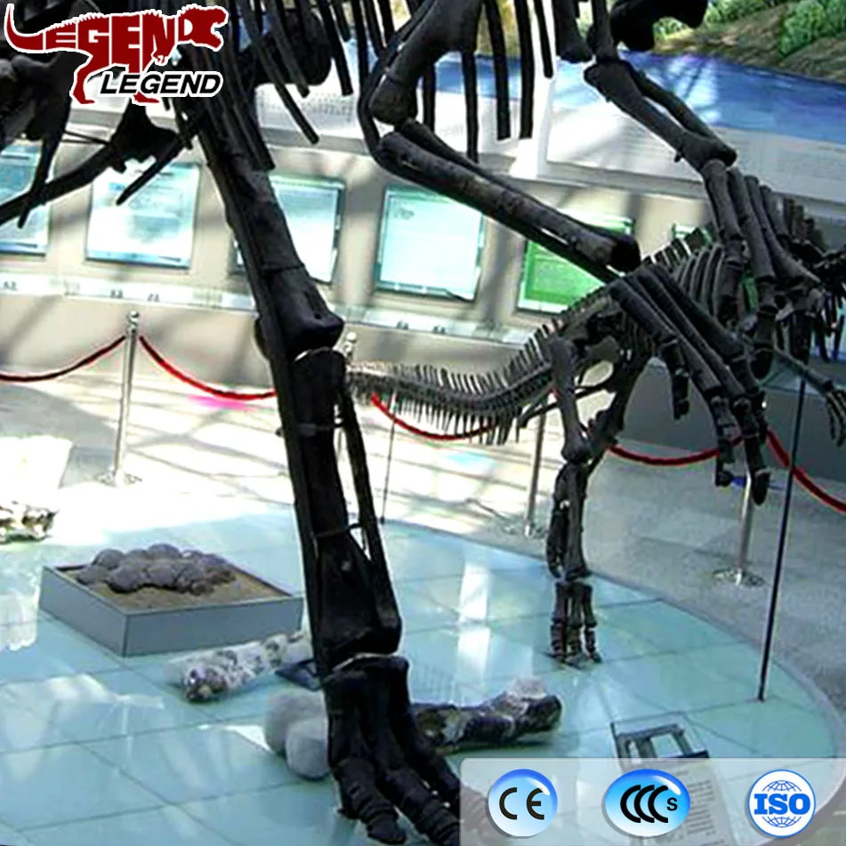 Museum Artificial Dinosaur Fiberglass Dinosaur Fossils For Sale Buy