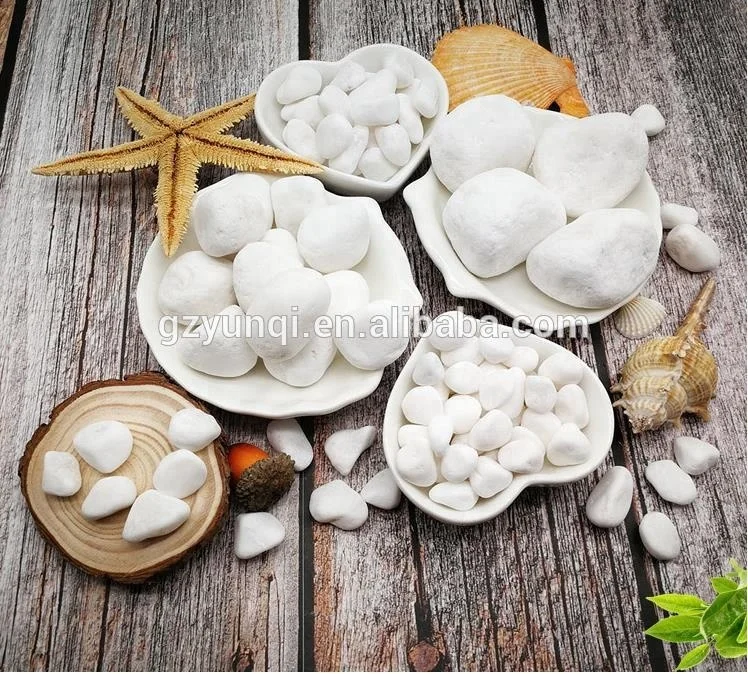 36020180724103835877