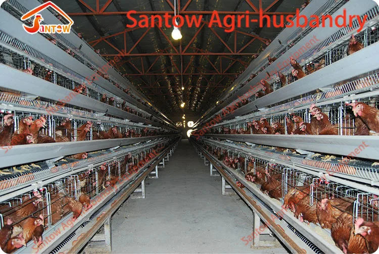 4 tier chicken layer cages automatic poultry cages galvanized wire mesh battery broiler cage price for Uganda Philippine sale