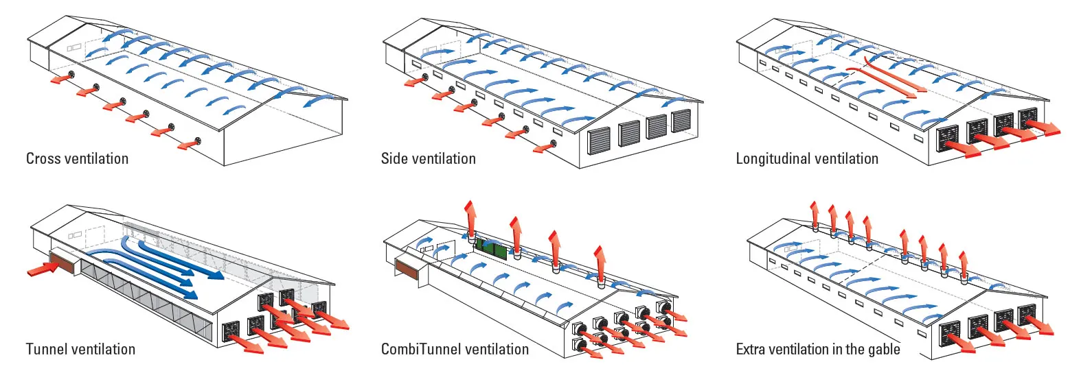 Схема вентиляции на птицеферме. Схема вытяжных вентиляций в коровнике. Приточно-вытяжная вентиляция в коровнике. Классическая схема вентиляции птичника.