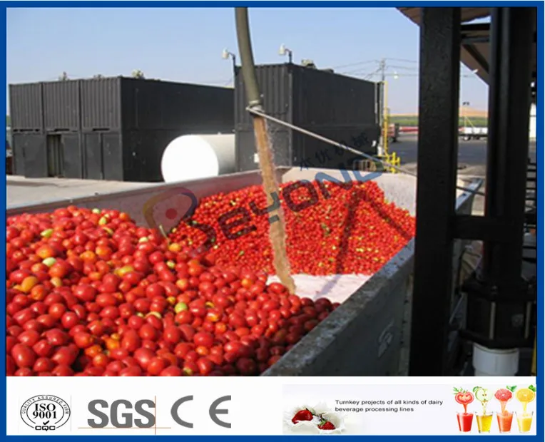 210T/H Concentrate tomato puree factory/ tomato paste processing plant