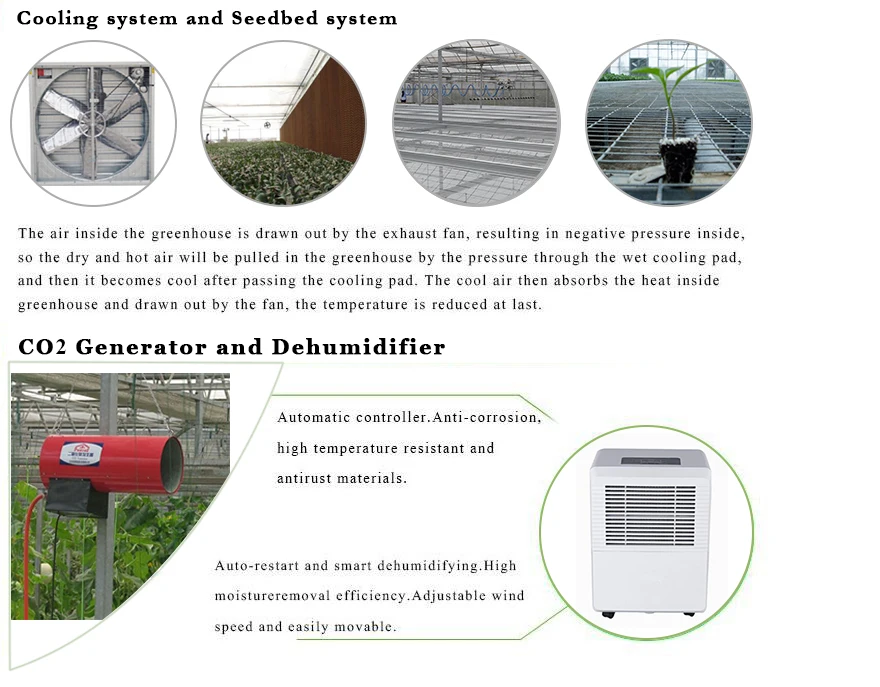 Tinted Float Glass Greenhouse
