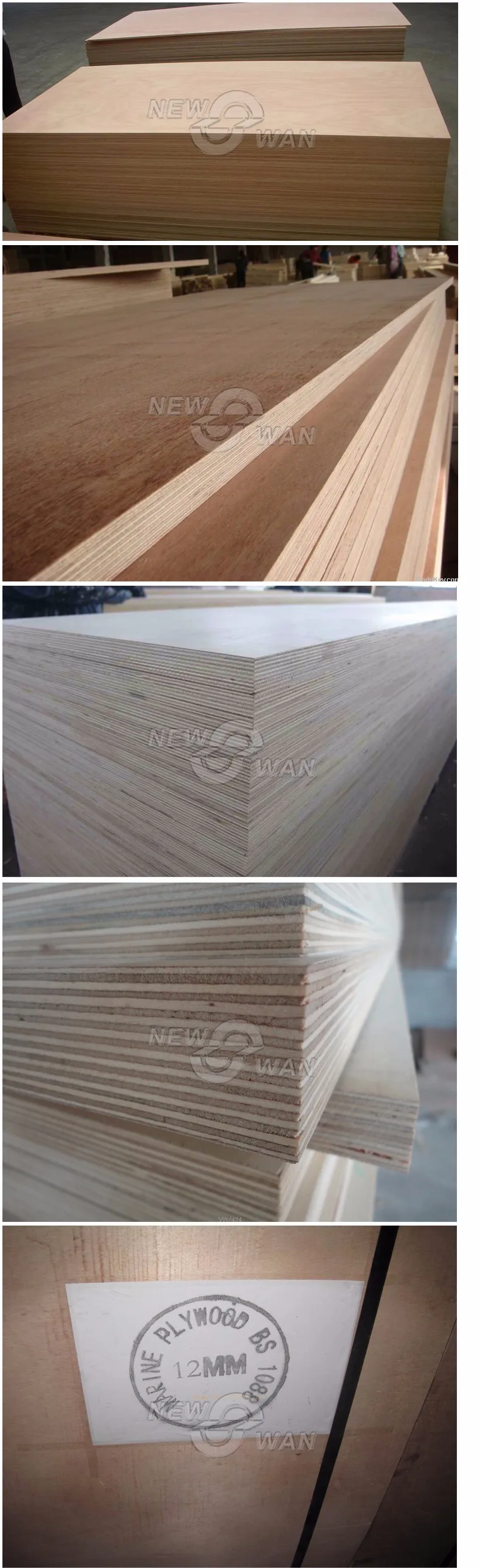 5X8 Plywood / Ash Plywood / Birch Veneer Plywood, View 5X8 Plywood