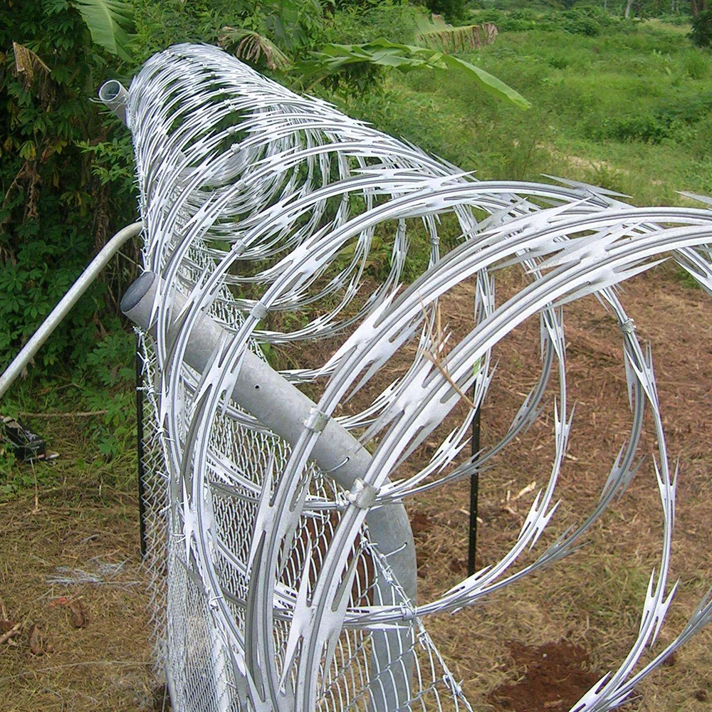 Galvanized CBT-65 Razor Barbed Wire - 33 Loops by Taiye
