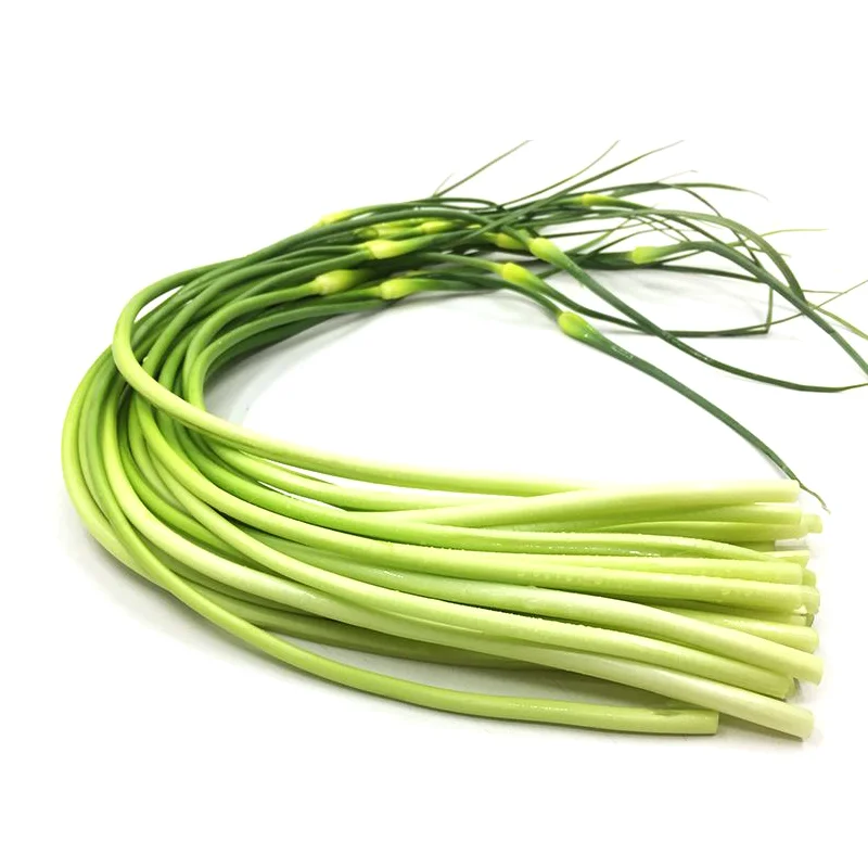 2019 new crop fresh garlic sprouts for sale