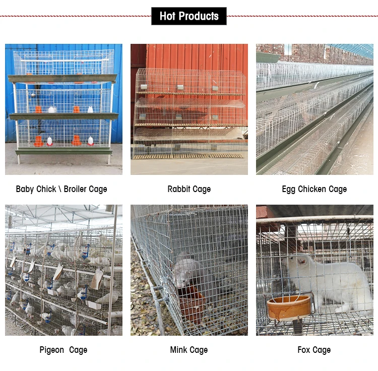 Professional Large Quail Transport Cage Size Buy Quail Cage Size