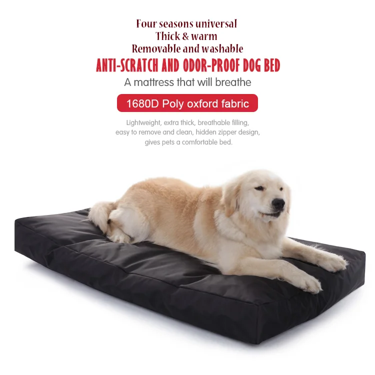 Washable Scratch Proof Dog Nest Foam Pet Bed Waterproof Dog Bed Buy