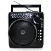 Portable mini speaker with fm radio