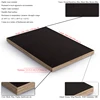 low price film faced poplar birch pine plywood for china supply