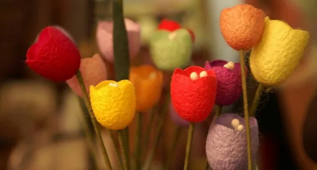 color cocoon4_.JPG