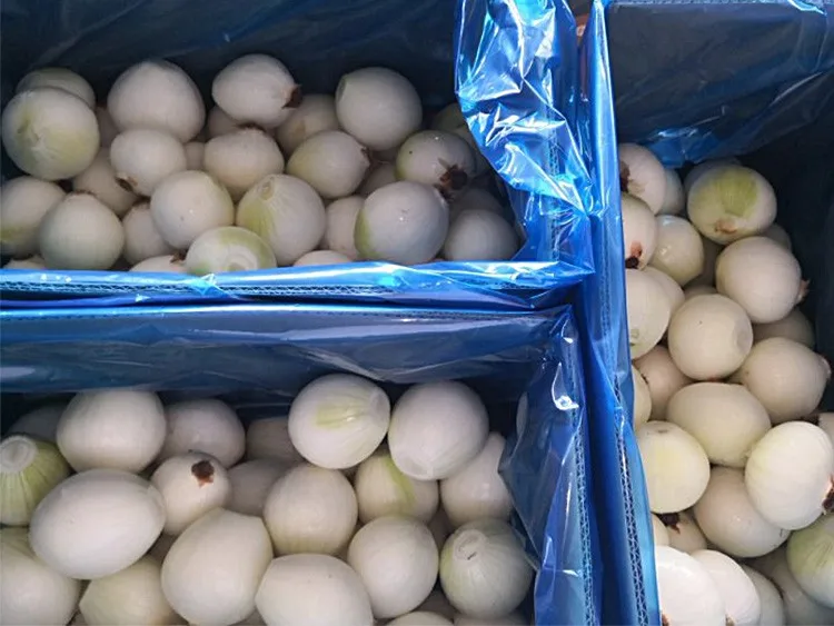 Fresh Whole Peeled Onions Vacuum Packed 10kg Carton Buy Fresh Whole