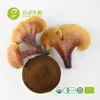 Most Creativity Helping Depressive Issue Ganoderma Powder(50& Extract Powder&50% Shell-broken Spore Powder)