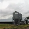Layer Chicken House Poultry Farm Steel Frame Construction