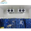 Cold cameras, freezer cameras, cool cameras compressor units