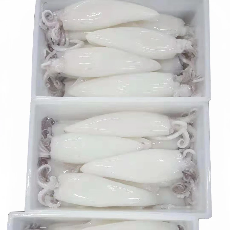 a2676f7f10d2994 (6).jpg