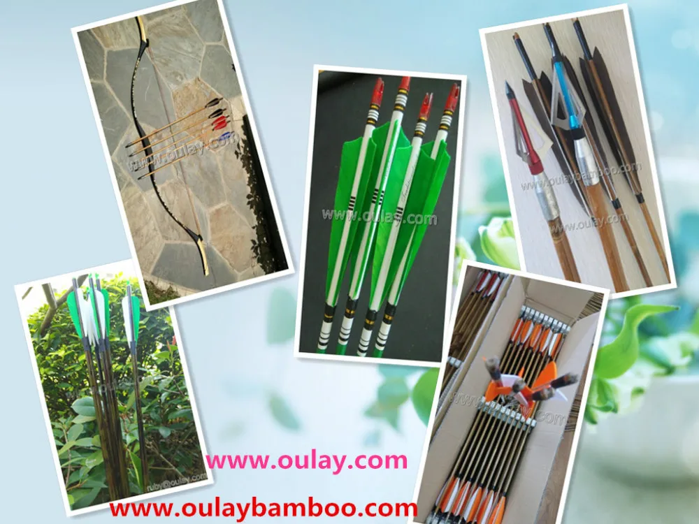 Judo Broadheads/archery Tips/arrow Tips,Five Claws Buy Wholesale