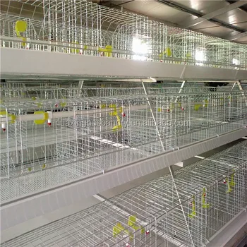 Commercial Chicken House layer chicken house/egg chicken house design for layers/commercial Commercial Chicken House layer chicken house/egg chicken house design for layers/commercial