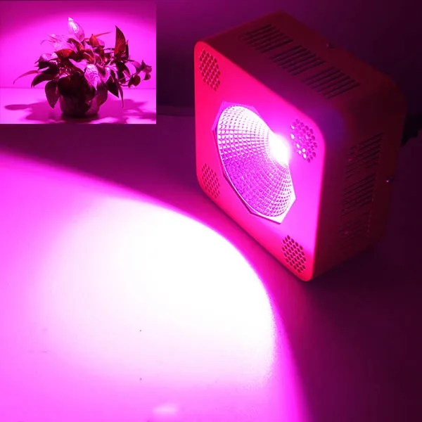 cob led grow light shenzhen gerylove 192w led grow light