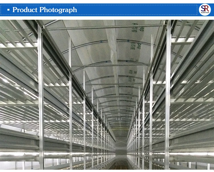 Factory Mushroom Racks Growing Shelves Spawn Mushroom Grow Shelf