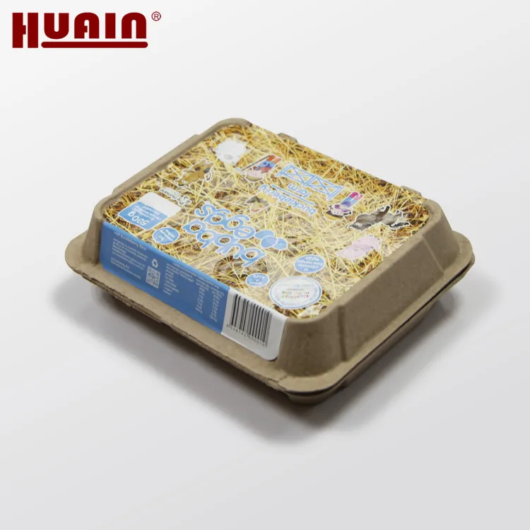 Quality Strong 6 Pack Egg Carton Buy Protective Cheap 6 Pack Egg