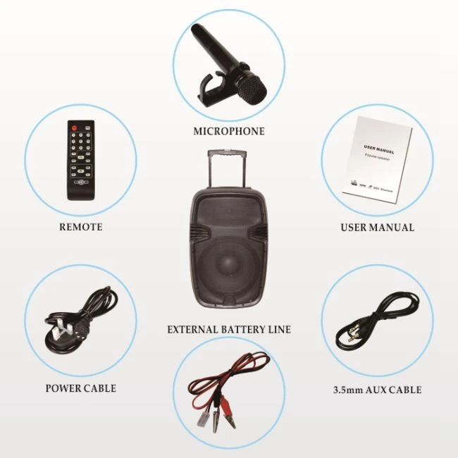 Hifi Power Supply Subwoofer Sound Box Audio System Portable DVD Speaker - ANKUX.COM