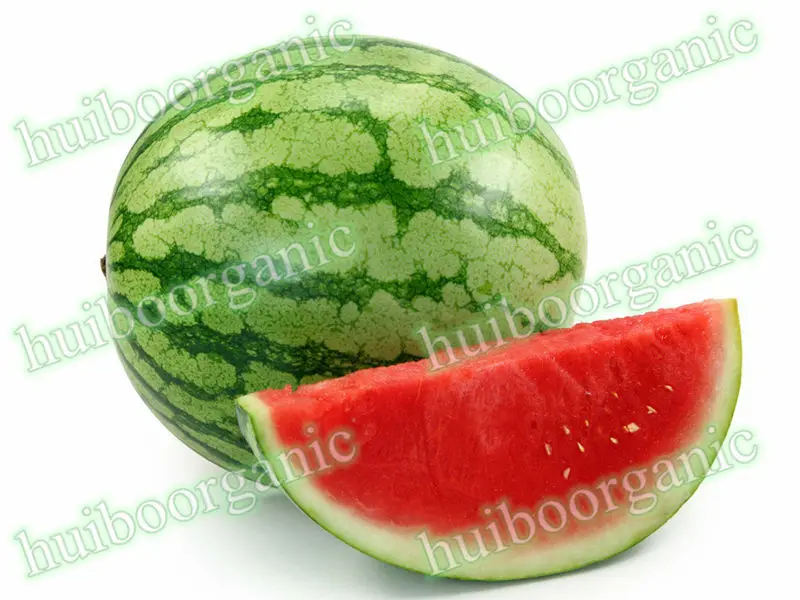 Watermelon Powder 04