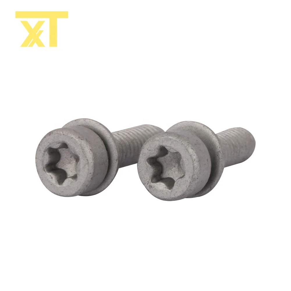 Torx Socket Fillister Head Combination Cap Screw For Machine Buy Torx