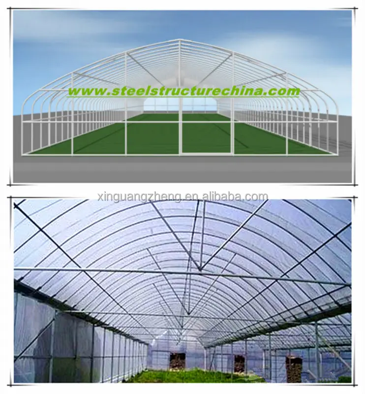 Agriculture galvanized steel structure greenhouse for planting