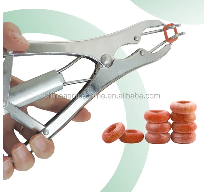 burdizzo castration