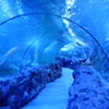 Underwater tunnel with acrylic glass for sea world aquariums